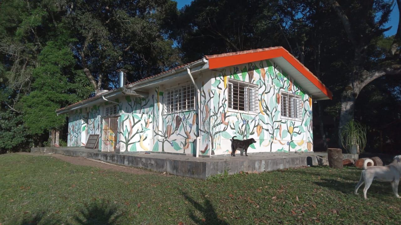 Construção do sítio com paredes pintadas à mão, cercada de mata