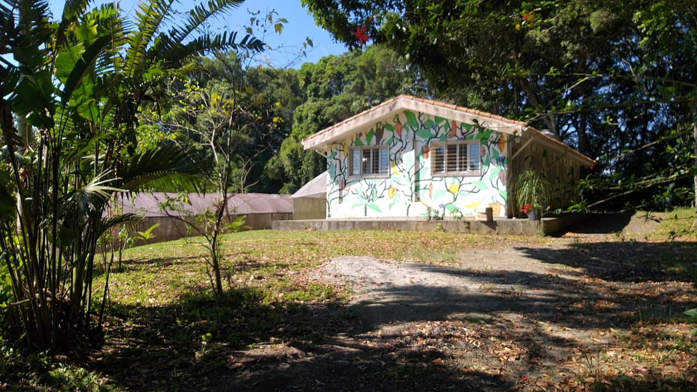 Construção do sítio com paredes pintadas à mão, vista de frente, cercada de árvores