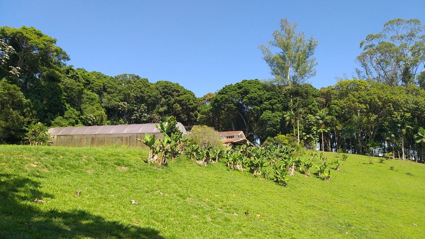 Gramado aberto com mata ao fundo e céu azul